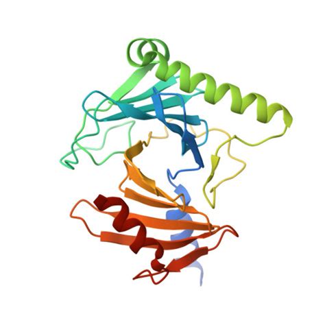 RCSB PDB - 8A0J: Crystal structure of the kinetoplastid kinetochore protein Trypanosoma ...