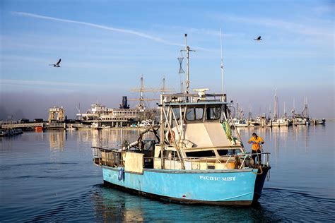 WHARF_WEBSITE_07: FISHERMAN'S WHARF: Laura Morton