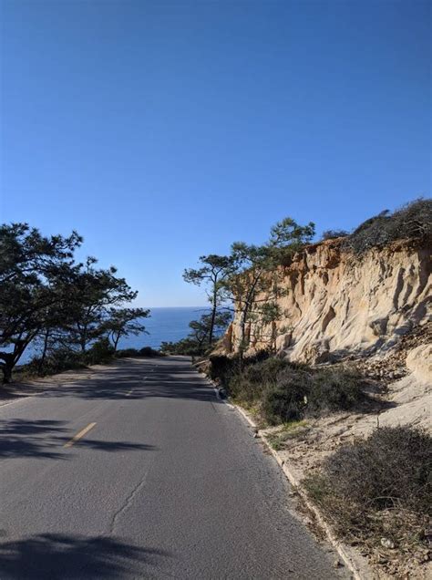 Trails at Torrey Pines – Erica's Journal