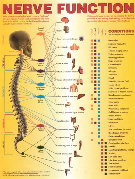 Blog – Lamb Chiropractic and Wellness