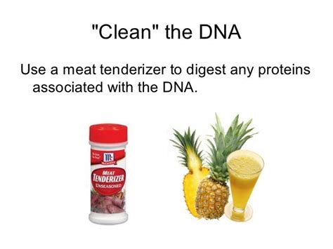 Banana dna lab isolating dna from a banana activity