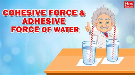 Cohesive force and Adhesive force of water - YouTube