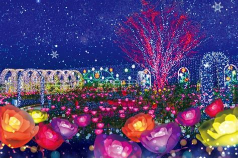 Ashikaga Flower Park | Best Flower Site