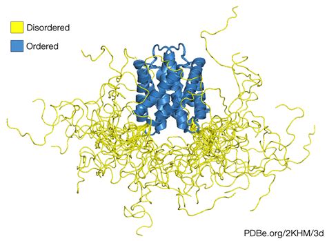 The amazing spider silk | Protein Data Bank in Europe