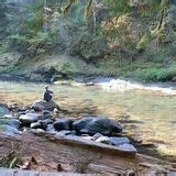 Old Salmon River Trail - Oregon | AllTrails