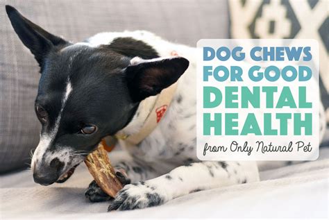 Dog Chews For Good Dental Health From Only Natural Pet - The Broke Dog