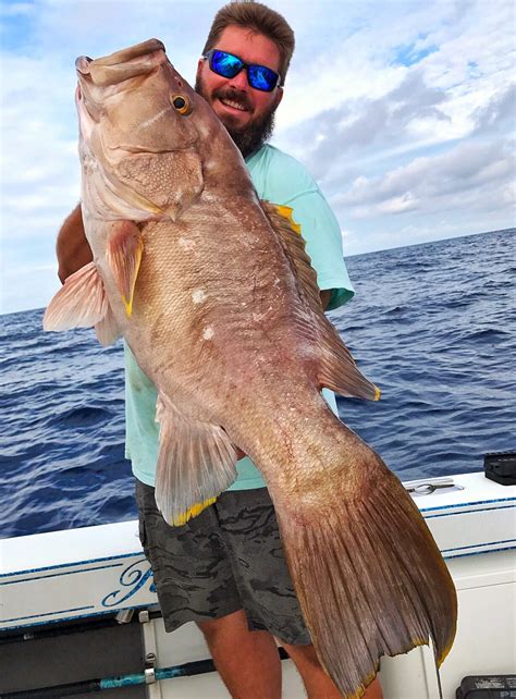 Venice LA Fishing Photo Gallery | Relentless Sportfishing