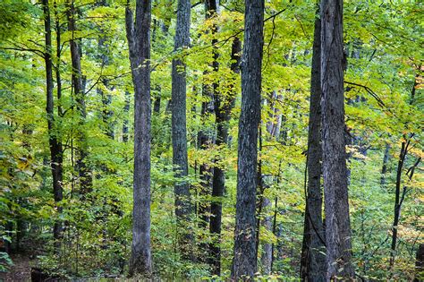 Yellowwood State Forest - October 12, 2013 | Bloomington Indiana | Tourism | Ecotour | Nature ...