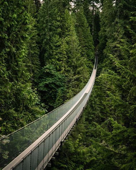 10 Amazing Trails For Hiking In Vancouver - Icy Canada