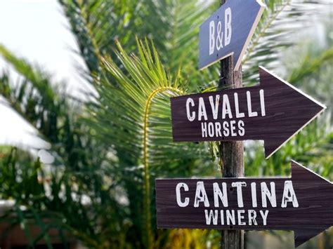 Vesuvius Horse Tour & Wine Tasting | musement
