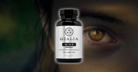 Qualia Focus Review: Does It Really Improve Focus?