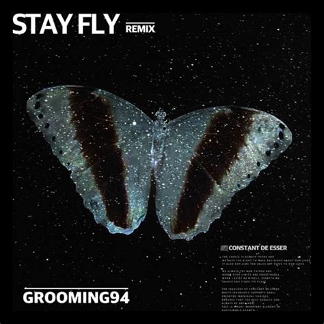 Stream Stay Fly - GROOMING94 Remix by GROOMING94 | Listen online for free on SoundCloud