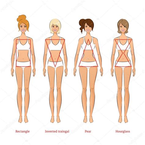 Female body types — Stock Vector © Sonya_illustration #51117093