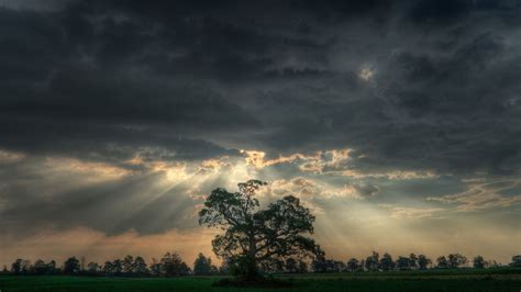 Trees Clouds Sky HD Wallpapers - Wallpaper Cave