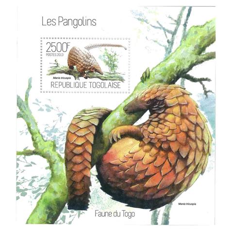 Togo Stamp, 2013 Pangolins, WIldlife, Animals S/S | Houseofstamp.com | Thai Stamps, USA Stamps ...