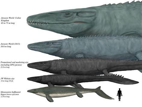 I always find it hilarious how gigantic the mosasaurs was in Jurassic world. : JurassicPark ...