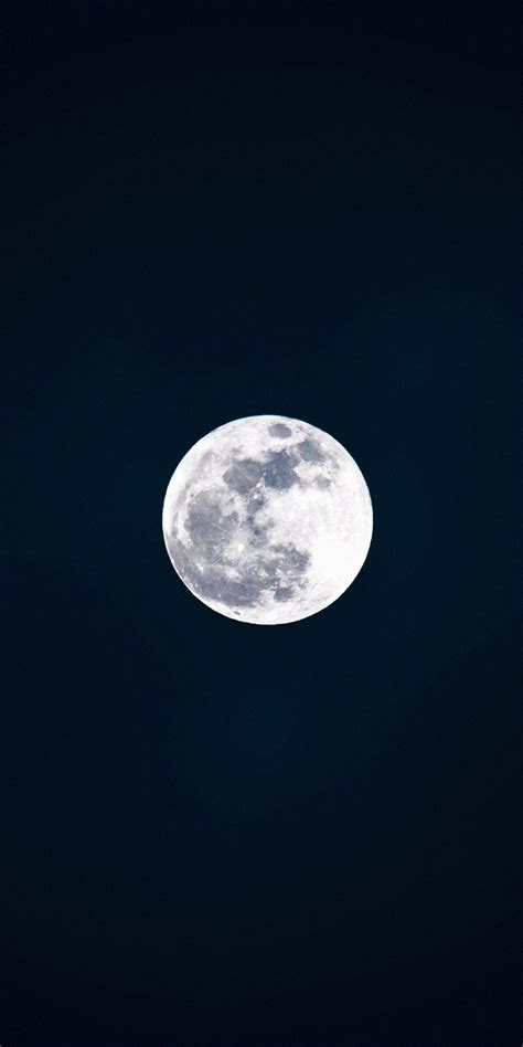 Bright, full-moon, night, 1080x2160 wallpaper | Cartoon wallpaper hd, Background hd wallpaper ...