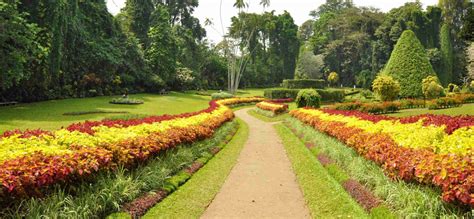 Royal Botanical Gardens Peradeniya | Royal Botanical Gardens Peradeniya