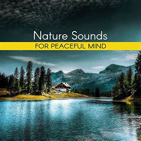 Amazon Music Unlimited - Nature Sounds Artists 『Nature Sounds for ...