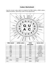 Codon Worksheet - Codon Worksheet Use the circular codon table to complete the DNA triplets mRNA ...