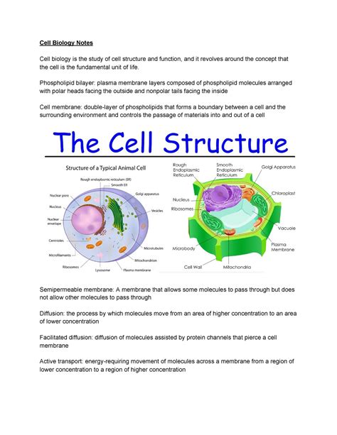 Cell Biology Notes - Cell Biology Notes Cell biology is the study of cell structure and function ...