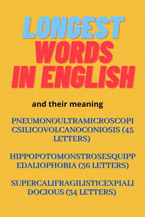 6 Most longest words in English and their meaning | Longest word in ...