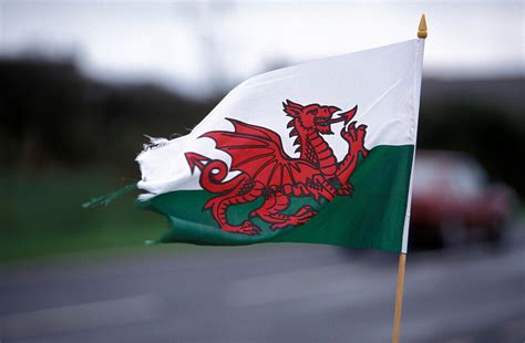 The Red Dragon, Welsh flag, Dyfed, … – License image – 70088091 lookphotos