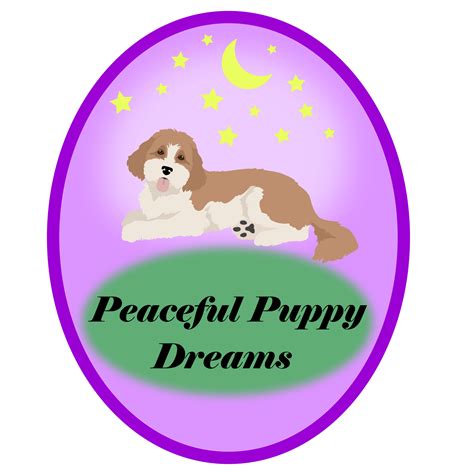 Cavapoo | Peaceful Puppy Dreams