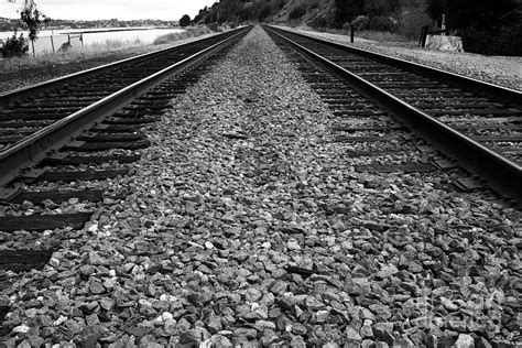 Railroad Tracks . Black And White Photograph by Wingsdomain Art and Photography