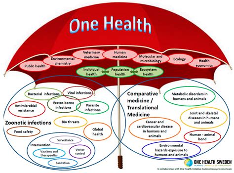 One Health - Nipah Vaccine - One Health Initiative