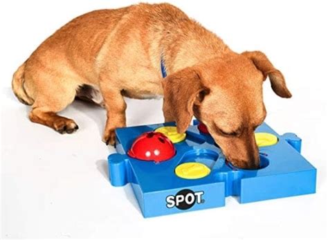 Puzzle Toys | The Best Interactive Toys to Keep Dogs Busy