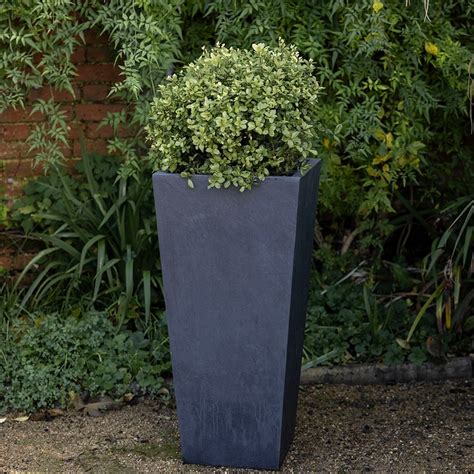 Buy Tapered planter - dark grey: Delivery by Crocus