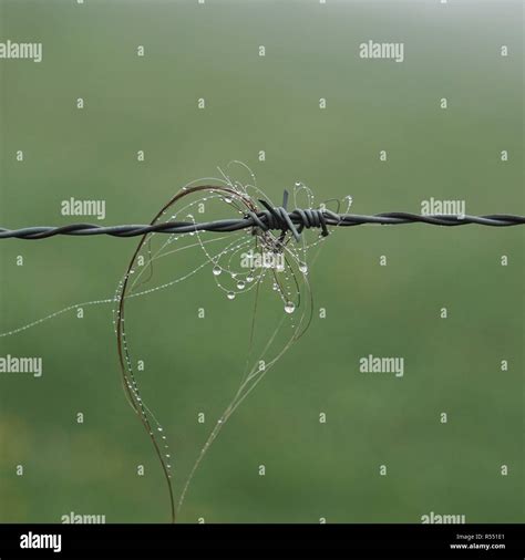 the broken wire fence Stock Photo - Alamy