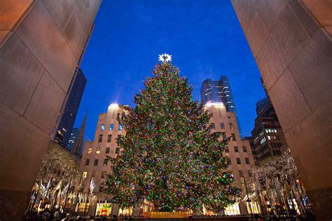 Best Christmas Trees to See in NYC