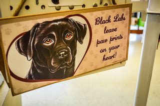 Tacky Black Lab sign | Black Labs leave paw prints on your h… | Flickr