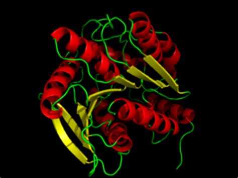 Hormone sensitive lipase - Proteopedia, life in 3D