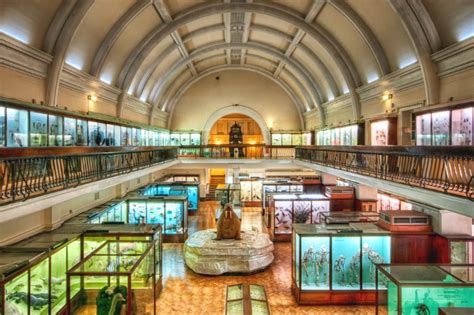 Unusual Museums In London | From Wunderkabinetts to Time Capsules