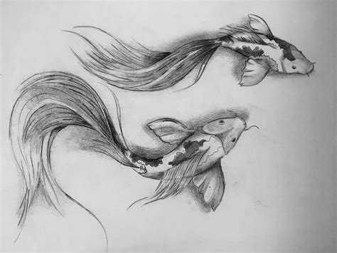 Koi Fish Drawing Pinterest - Koi Fish Drawing On Pinterest | Bodbocwasuon