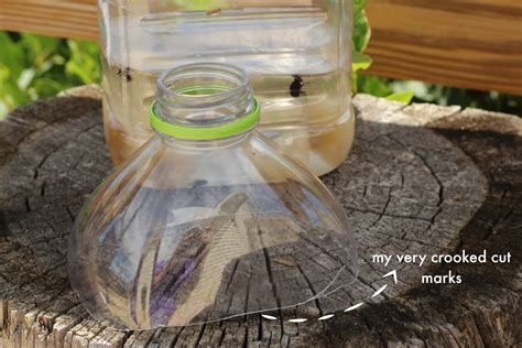 Homemade Fly Trap | The Prairie Homestead