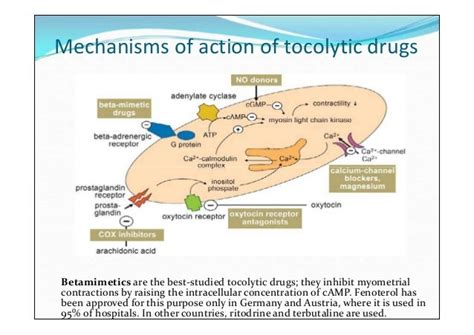 Tocolytic (Fartoks)