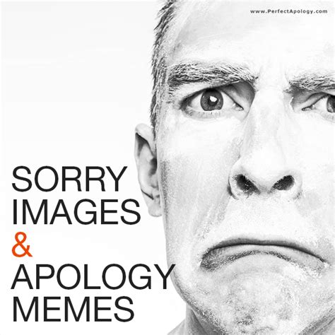 Apology Meme & Sorry Images