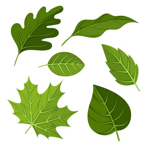 Green Leaves Clipart Set Vector 358184 Vector Art at Vecteezy