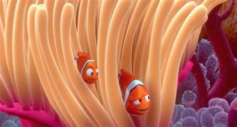 Why is Nemo sharing his anemone home? - 2SER