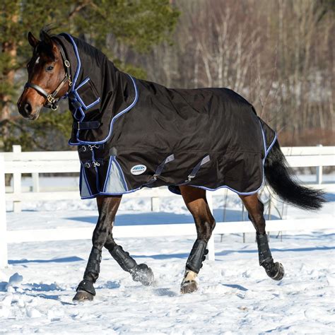 Horse Blankets Worth Investing In Winter 2022 | Besides The Bit