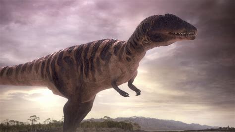 Carcharodontosaurus | Planet Dinosaur Wiki | Fandom