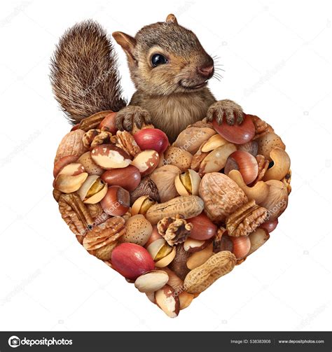 Love Nuts Concept Squirrel Holding Group Peanuts Assorted Nuts Shaped ...