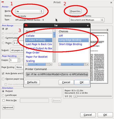 Duplex printing to LW