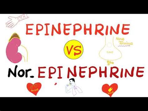 Epinephrine vs Nor-Epinephrine - YouTube