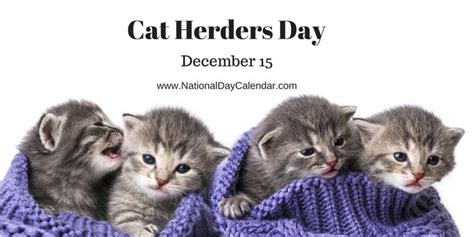 CAT HERDERS DAY - December 15 - National Day Calendar | Cats, Kittens ...