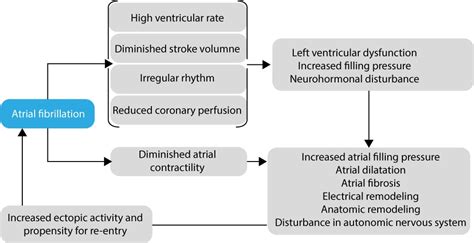 Atrial fibrillation: ECG, classification, causes, risk factors & management – ECG learning